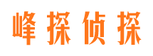 鹿城市侦探公司